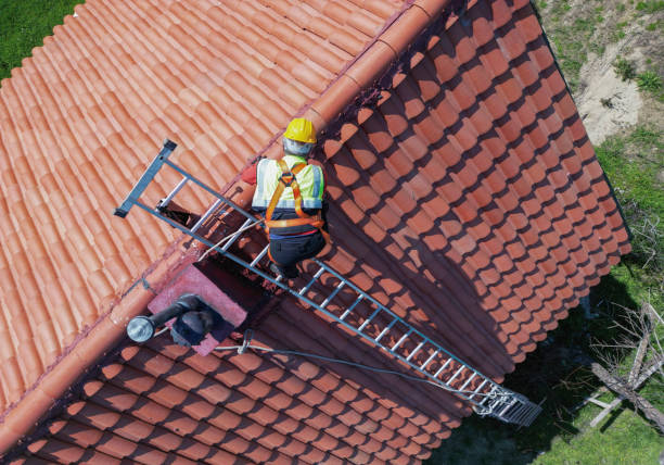 Best Roof Moss and Algae Removal  in Lake City, PA